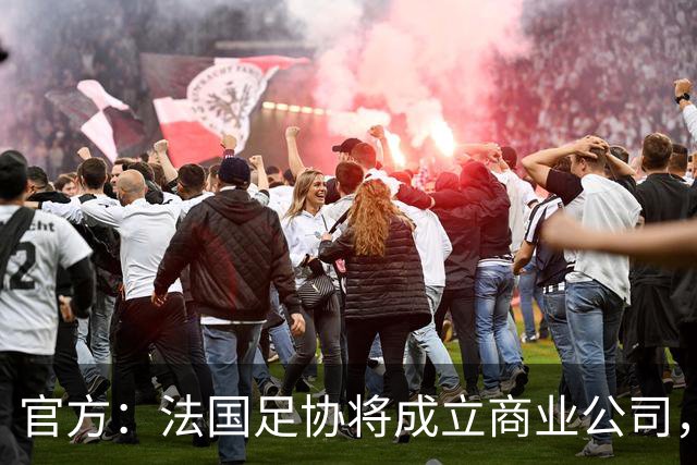 官方：法国足协将成立商业公司，管理法甲、法乙及其商业权益
