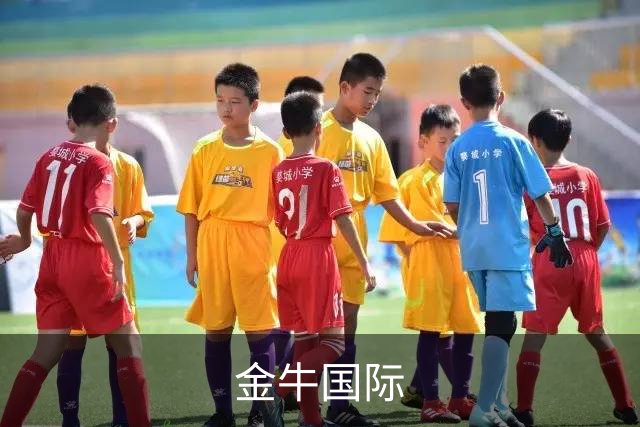 金牛国际公司简介图片